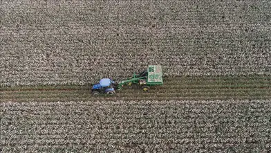 Orta Doğu gerilimi küresel tarım ve gübre piyasalarını sarstı: Maliyetler hızla yükseliyor!