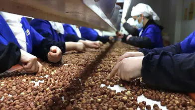 Giresun'da İhracatın Yarısından Fazlası Kadın Eliyle: İşte 81 İlin Kadın Emeği Karnesi!