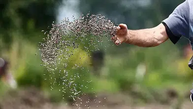 Türkiye'nin sertifikalı tohum ihracatı 20 yılda yaklaşık 8 katına çıktı!