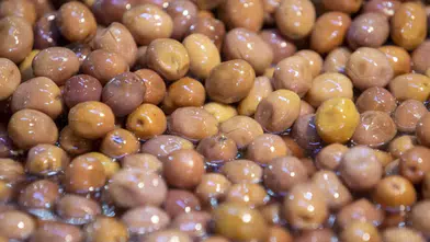 Zeytinde milyar dolarlık ihracat için düğmeye basıldı