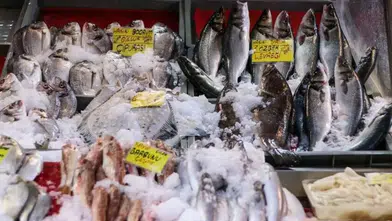 Türkiye'nin su ürünleri ihracatı tarihi bir rekora imza attı