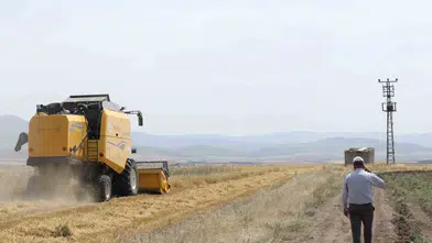 Erzurum’un tarımında devrim: İlk biçerdöverler hasat yükünü hafifletiyor