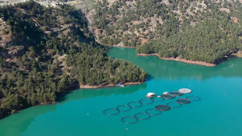 Kahramanmaraş’tan ihracat hamlesi: Somon ve Alabalık dünyaya açılıyor!