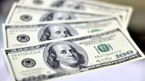 Döviz Piyasasında Yatay Seyir: Dolar 44,35 Seviyesinde Tutunuyor!