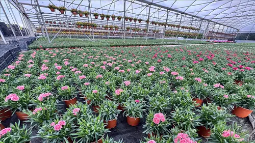 Kurakçıl Peyzajda Yeni Model Arayışı: Üreticilerden Alım Garantili Sistem Talebi!