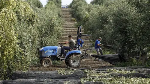 İspanya’dan tarım ve hayvancılığa 877 milyon avroluk destek paketi!