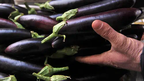 Mutfağın Zam Şampiyonu Belli Oldu: Patlıcan El Yakıyor Salatalık Sevindiriyor!