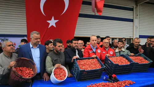 Altınla yarışan kiraz: Manisa'da ilk hasadın kilosu dudak uçuklattı!