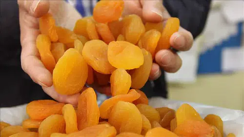 “Kayısı krizi fırsata dönüştü: Malatya’dan rekor ilk çeyrek geliri