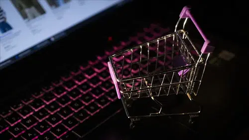e-Ticarette erkekler yazılıma, kadınlar giyim, ayakkabı ve aksesuara para harcadı!