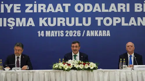 Cumhurbaşkanı Yardımcısı Yılmaz: Bu sene genel büyümemize tarımın katkısı pozitif olacak!