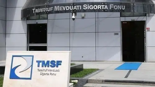 Resmi Gazete’de yayımlandı: TMSF, Assan Group için teklif topluyor