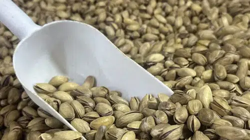 Türkiye'nin fıstığı küresel arenada: Yılın ilk yarısında 60 milyon doları aştı!