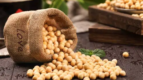 Soya fasulyesi fiyatları 26 ayın zirvesine ulaştı