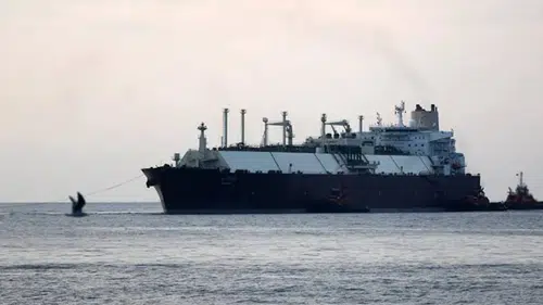 Cezayir'den yola çıkan LNG gemisi 13 Temmuz'da Türkiye'ye ulaşacak