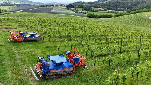 Tarımda dijital çağ: Yapay zeka ve robotik sistemler üretimin geleceğini şekillendiriyor