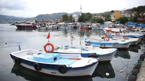Balıkçılar av sezonuna hazır: Palamut bol, umutlar yüksek