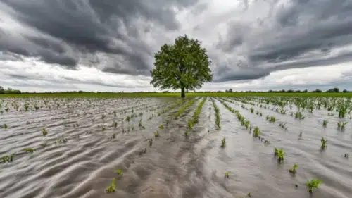El Nino etkisiyle küresel ekonomide maliyet artışları bekleniyor