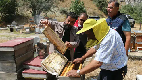 Erzincan'da arıcılığın çiçek açtığı 3 coğrafi işaretli bal ile ürün çeşitliliği artıyor
