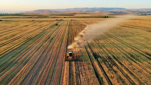 Avrupa'da beklenen sıcak hava dalgası tarımsal üretimi tehdit ediyor