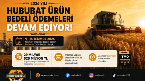 TMO, üreticilerin hesaplarına ödemelere devam ediyor