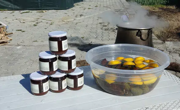 Ayvalık'ta Kadın Emeği ile Üretilen Kozalak Şurubu