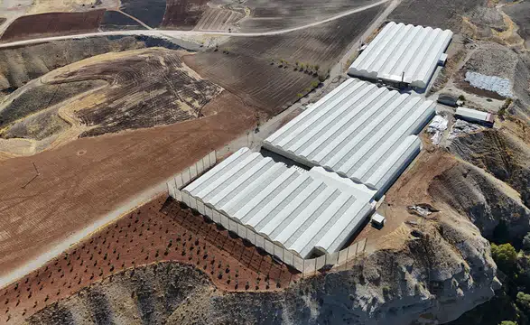 Adıyaman'da Süs Bitkisi Üretimi İstihdam Sağlıyor