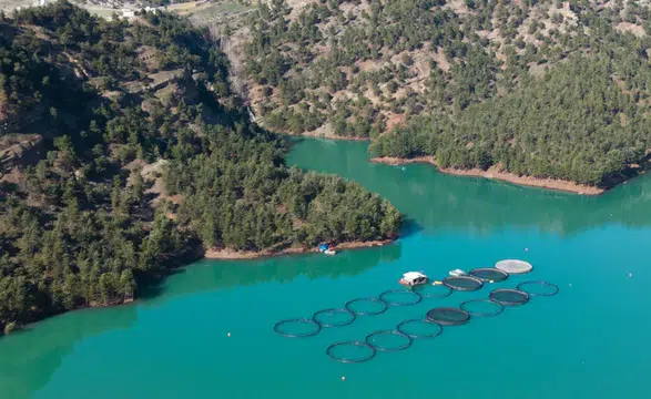 Kahramanmaraş’tan ihracat hamlesi: Somon ve Alabalık dünyaya açılıyor!