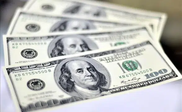 Döviz Piyasasında Yatay Seyir: Dolar 44,35 Seviyesinde Tutunuyor!