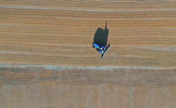 Toprağın röntgeni çekiliyor: Kritik tarım alanları Cumhurbaşkanı kararıyla korunacak!