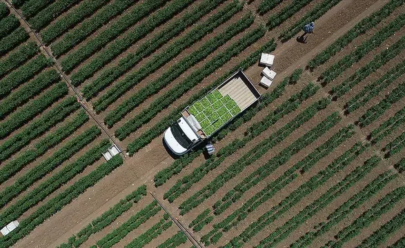 Tarımsal girdi maliyetlerinde şubat ayı tablosu netleşti: Yıllık artış yüzde 31,55!