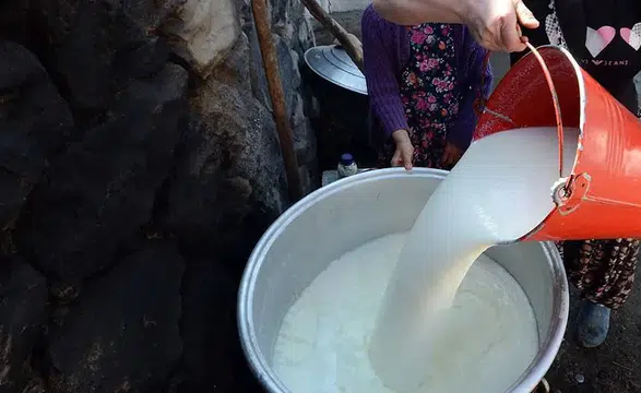 TÜİK şubat ayı süt ve süt ürünleri üretim verilerini yayınladı!