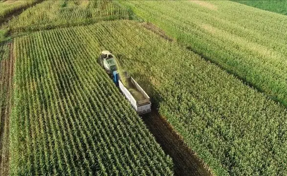 Tarım arazilerinin kullanımı ve korunmasına ilişkin yeni yönetmelik yürürlüğe girdi!