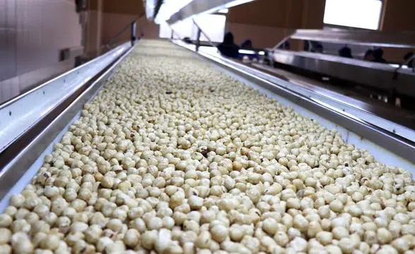 Borsalarda fındık hareketliliği: 7 ayda 261 bin ton sınırı aşıldı!