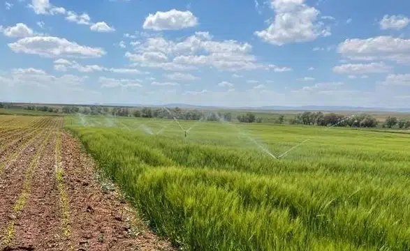 Bakan Yumaklı müjdeyi verdi: Tarımsal sulamada yüzde 70 hibe dönemi başladı!