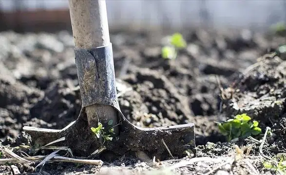 Tarımda tarihi karar: Dev gübre grubunda vergi sıfırlandı!