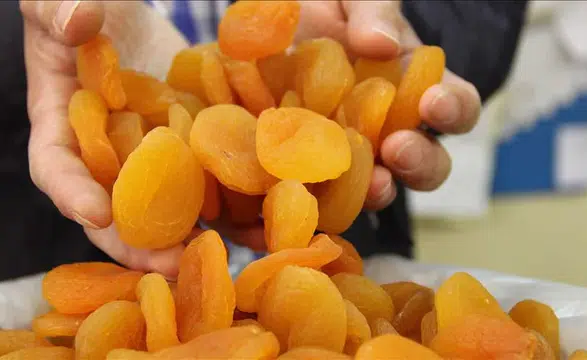 “Kayısı krizi fırsata dönüştü: Malatya’dan rekor ilk çeyrek geliri