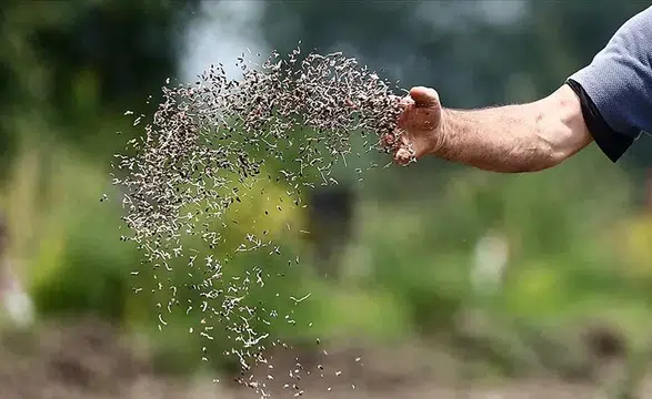 Türkiye'nin sertifikalı tohum ihracatı 20 yılda yaklaşık 8 katına çıktı!