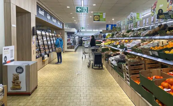 Ifo: Almanya’da her 12 şirketten biri iflas riskiyle karşı karşıya!