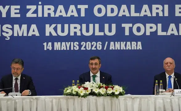 Cumhurbaşkanı Yardımcısı Yılmaz: Bu sene genel büyümemize tarımın katkısı pozitif olacak!