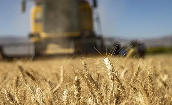 TÜİK son rakamları açıkladı: Tarımsal girdilerde nisan hareketi