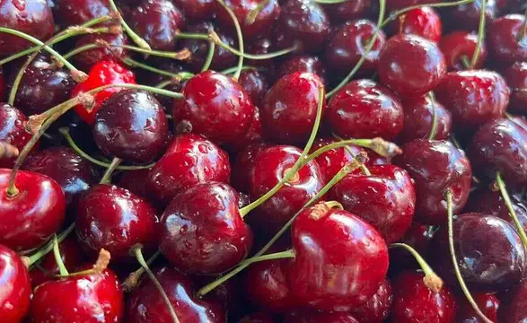 Türkiye'nin kiraz ihracatında büyük artış: 235 milyon dolara ulaşıldı