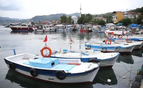 Balıkçılar av sezonuna hazır: Palamut bol, umutlar yüksek