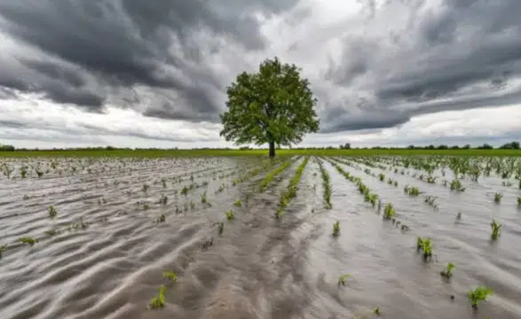 El Nino etkisiyle küresel ekonomide maliyet artışları bekleniyor