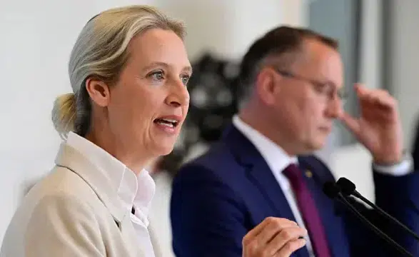 Almanya'da elektrik fiyatlarındaki artış aşırı sağcı AfD'ye desteği yükseltti