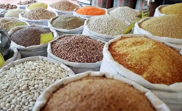 Güneydoğu Anadolu'da hububat ihracatı 2,2 milyar doları buldu