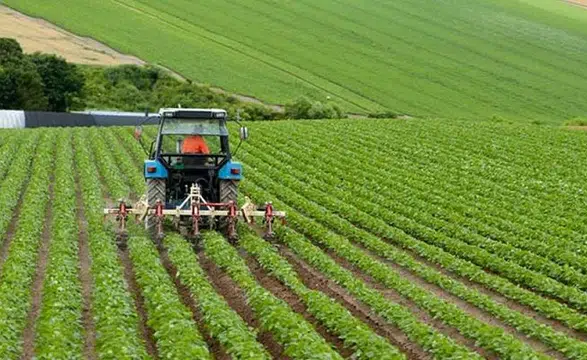 Tarım Bakanlığı, tüketicinin korunması için 6 ayda 13,1 milyar lira harcadı