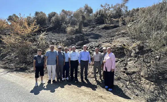 TZOB Genel Başkanı Bayraktar, Aydın'da zeytinliklerde yangın sonrası incelemelerde bulundu