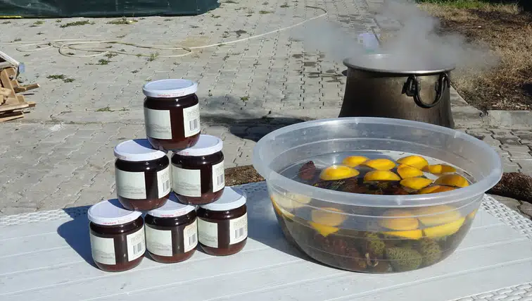 Ayvalık'ta Kadın Emeği ile Üretilen Kozalak Şurubu