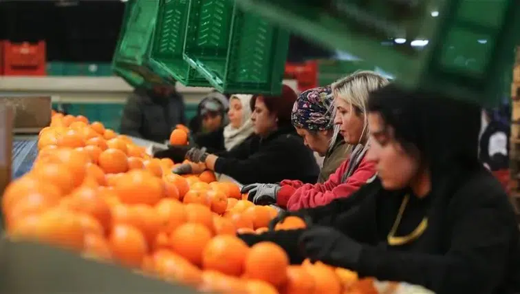 Kadınların ihracattaki gücü artıyor: Pay yüzde 23,5’e çıktı!